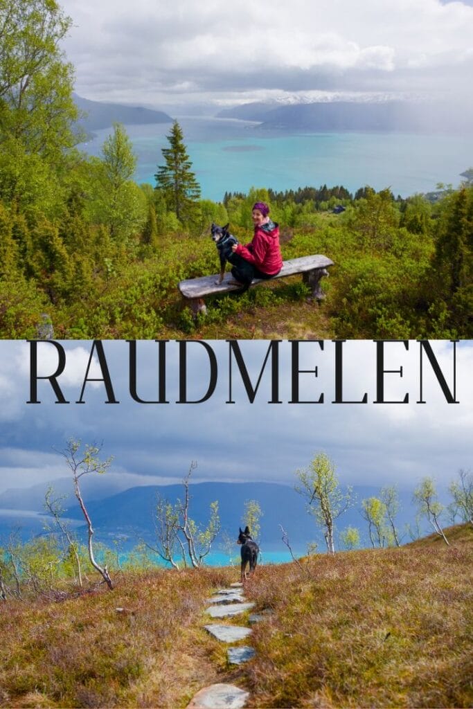 raudmelen-pin3
