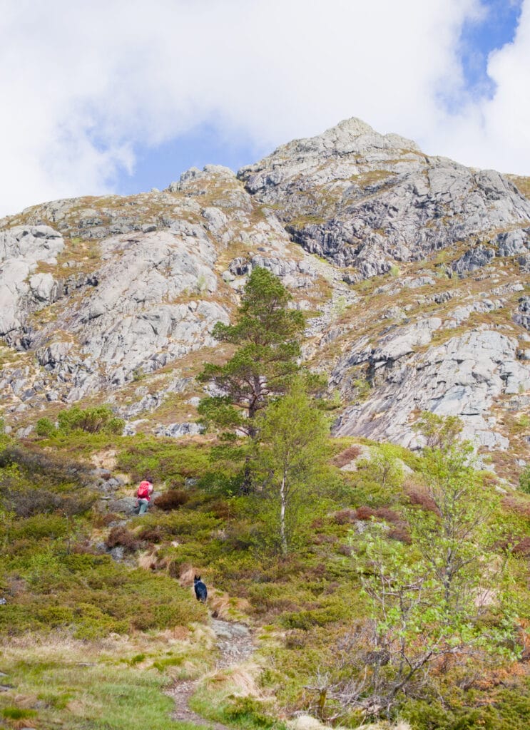 sommet du stovelgolvet