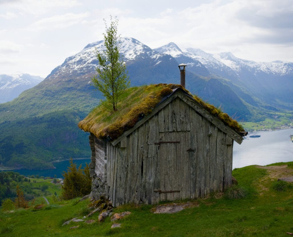 green roof
