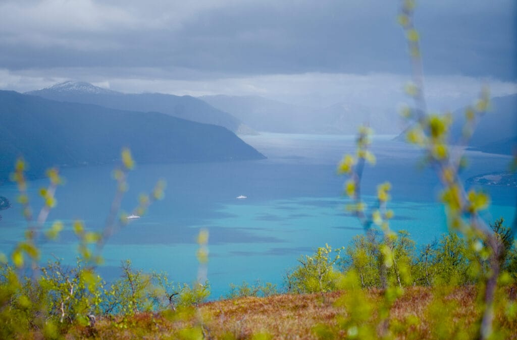 sognefjord norvège