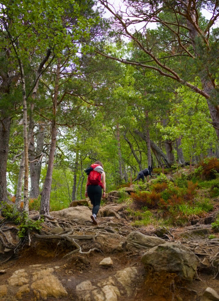 rampestreken hike
