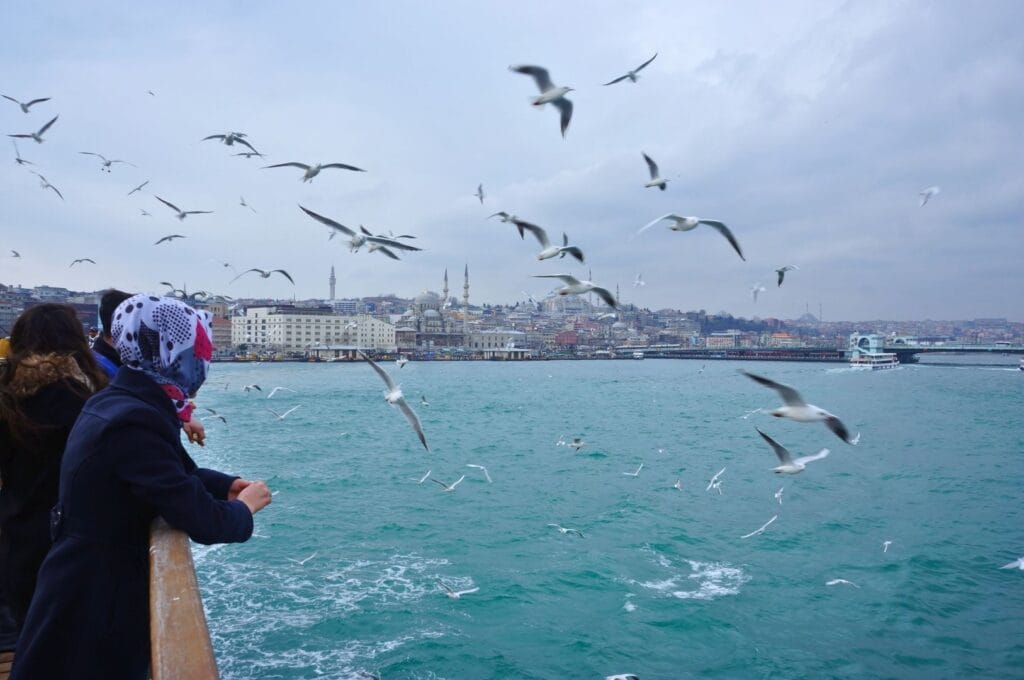 Blick auf Istanbul und die Möwen von der Fähre auf dem Bosporus aus