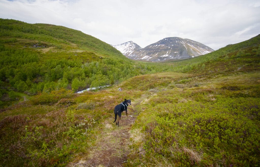 randonnée Møllsvatnet