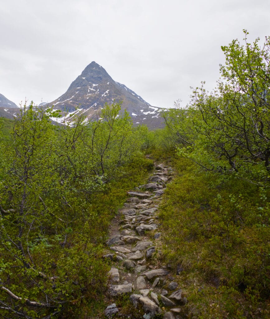début du trail d'Urkeegga