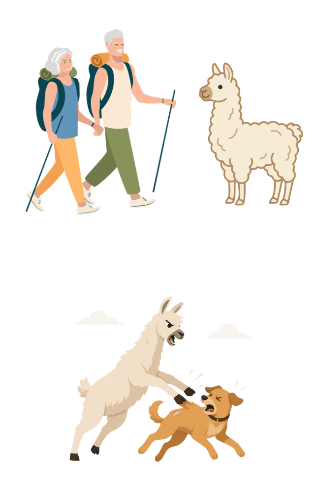 lama